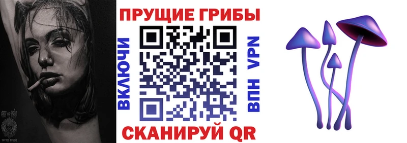 Псилоцибиновые грибы MAGIC MUSHROOMS  Купить  Сковородино 