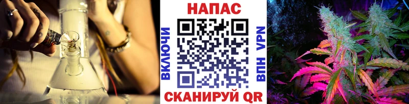 Купить  Сковородино  Канабис сатива 